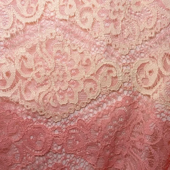 Everly Pink and Cream Lace Mini Dress NWT - Picture 14 of 14